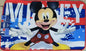 Tappeto Disney 50x80 VARIE FANTASIE